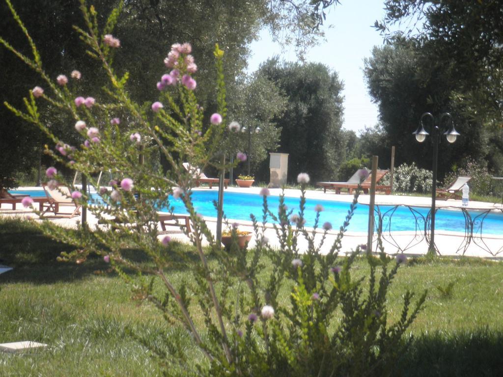 La Vigna Vecchia Pension Fasano Buitenkant foto